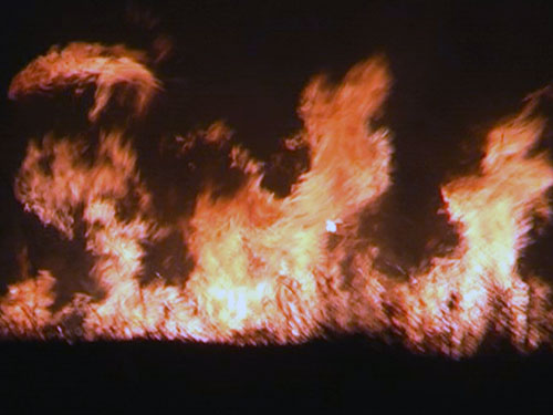 Incendiu Dealul Mesteacanului (c) eMM.ro